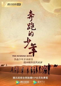 平安归来，命运交织的36集人生旅程