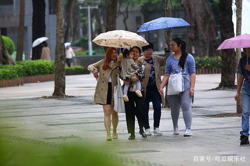 公园里的风波，爸爸带娃采花起冲突