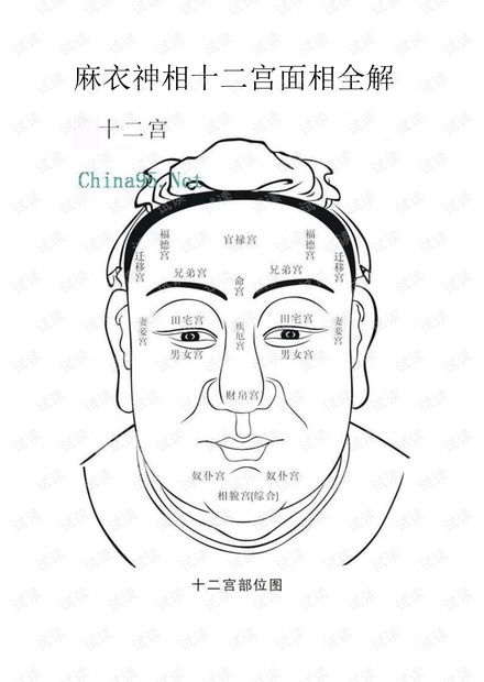 风流神相，探寻神秘面相之魅力与奥秘
