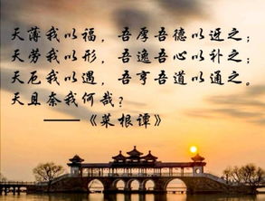 我携清风揽明月（46集）