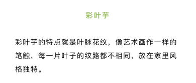 齐大人，放我一条生路（39集）