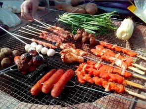 狂飙烧烤皇帝，激情与美食的完美结合