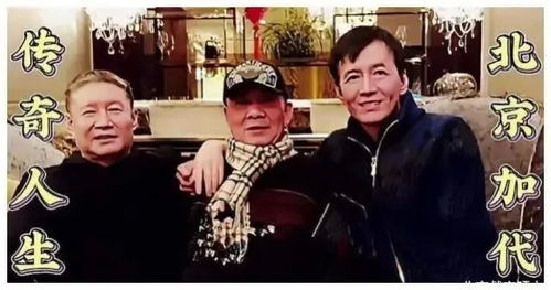 不装了我的四个哥哥是大佬，家族传奇的80集旅程