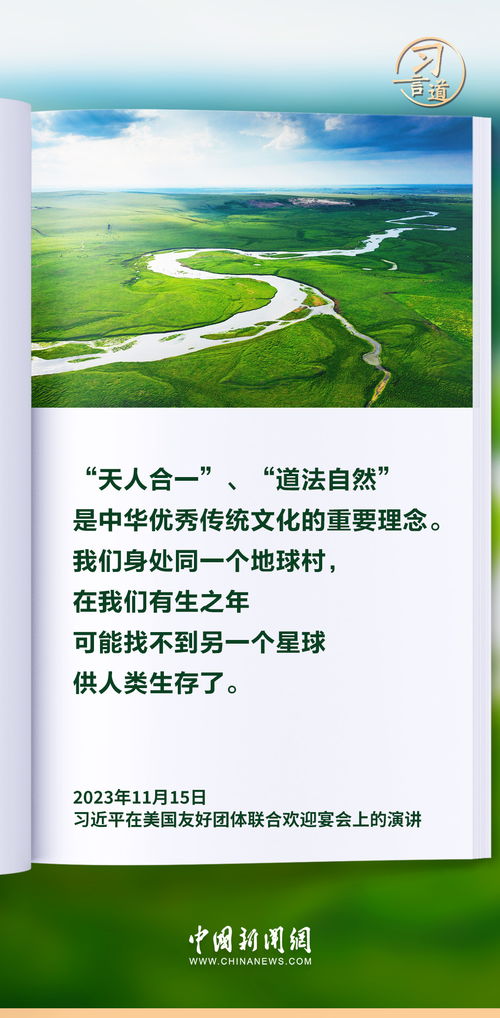 何以为家，生活的挣扎与希望（70集深度解析）