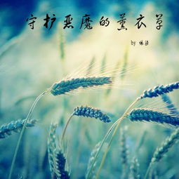 晨光照熹微，生活的细微之美（80集连载故事）