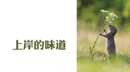 我自盛开（46集）深度解析