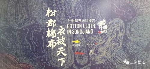 与君再相逢（70集）