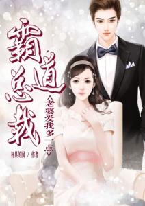 霸道总裁的神医老婆