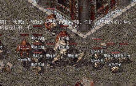 震惊网购买到绝世神章，一部隐藏于网购世界的宝藏巨作（90集深度解析）