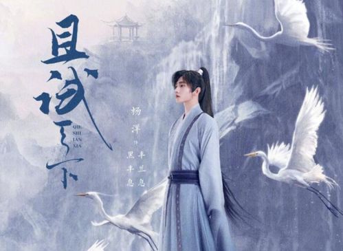 重生嫡妃倾天下，权力与爱情的交织（1电视剧解读）