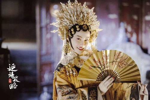 贵妃娘娘在现代（98集）