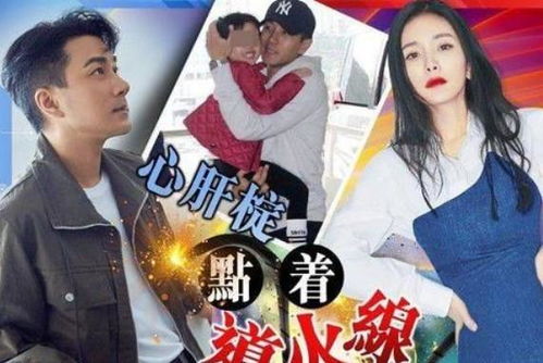 女儿受辱，我怒闯龙潭虎穴——前妻婚礼的挑战（共82集）