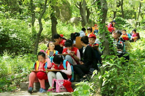 小米与仙桃，一场奇妙的倒转之旅