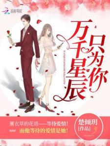 万千星辰不及你——陆总求复合之路