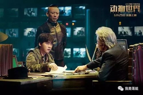 无敌帝师，探索智慧与力量的终极篇章（第89集）