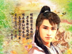医婿无双，医术与情感的双重传奇