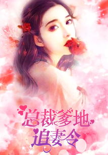 总裁爹地超凶猛，一胎二宝（80集）——王子怡的传奇故事