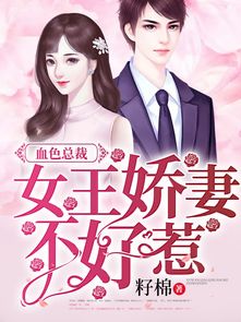 别惹前妻，一段关于爱与纠葛的故事