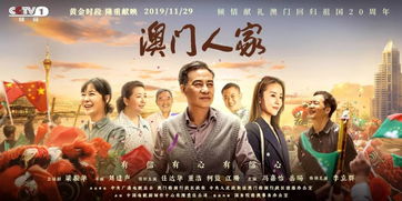 帝婿归来，英雄荣耀与家国情怀的交融（100集深度解析）