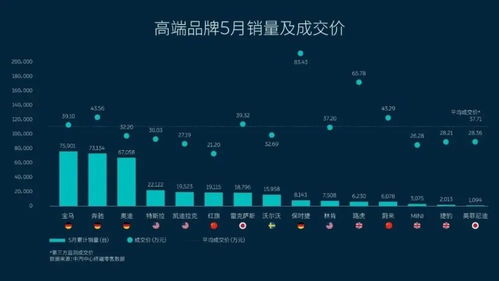 不装了，我是榜一大哥（71集），张子寒与桉淇的传奇故事