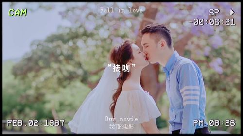 请和我最爱的人结婚（67集）
