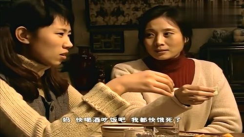仇少妻子的秘密剧情解析（80集）