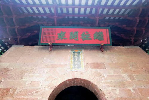 大隐于市（88集）