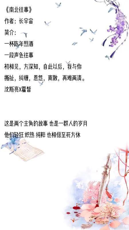 重逢情深（91集）