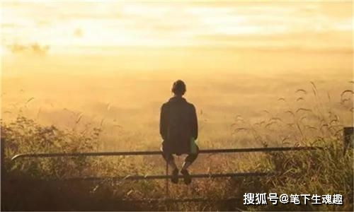 贪欢，一场人生的深度探索（共90集）