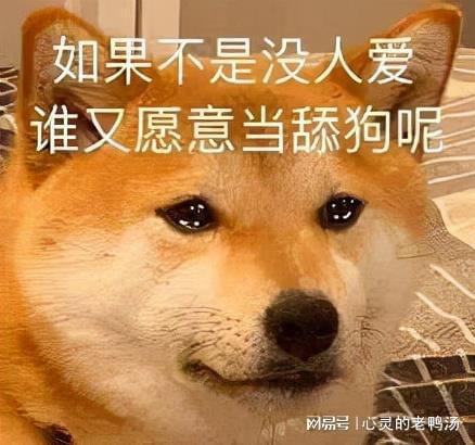 不当舔狗后，老公急哭了（69集）