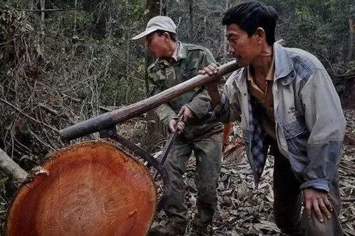 缅甸强震，灾难之下的人性与坚韧