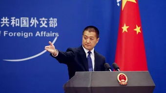 胡塞发言人将儿子送往中国是真吗？——真相探究