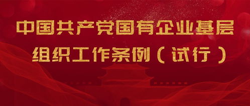 胖东来基层员工月薪9886元，企业繁荣背后的力量与支持