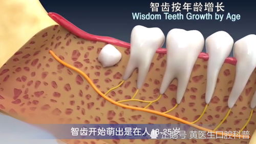 以牙还牙2，错综复杂的纠葛