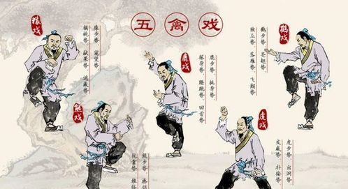 神医小师弟，医术与智慧的化身