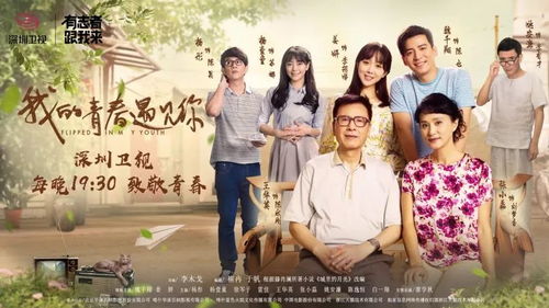 恰似人间芳菲尽（68集）——一部描绘人生百态的连续剧