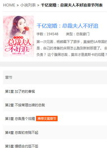 总裁夫人不好追（电视剧版）