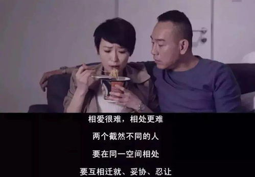 陆少错爱成瘾，一场情感的风波与纠葛（88集剧情深度解析）