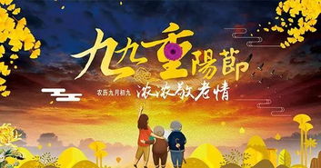 恰似寒冰遇暖阳，一场命运的交响乐章（60集）