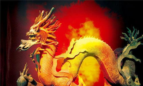 AA坠龙（完结）
