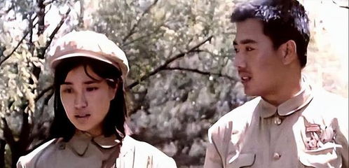 离婚后，他在娱乐圈杀疯了（66集）王静传奇故事