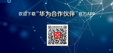 聚焦网络媒体的机遇与挑战，探索数字时代的媒体变革