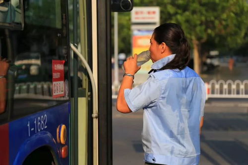 宝宝的好奇心之旅，公交上的温馨时刻