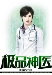 极品上门医婿（100集），医术与情感的双重传奇