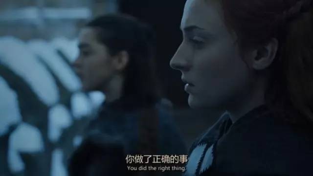 替身总裁，权力与情感的交织（98集深度解析）