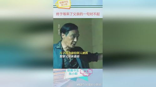 对不起，爸爸，让你失望了（30集连载）