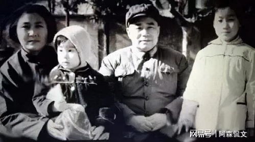 傅总，您太太真的没死（81集）