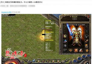 鉴宝龙王，探寻千年宝藏的传奇之旅（100集）