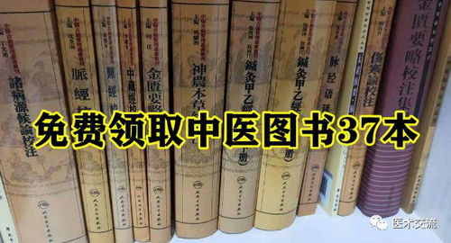 盲医高手，医术与智慧的交融（100集深度解析）
