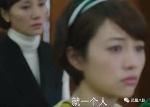 恶毒女婿别惹我（81集）